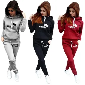 2 Piece Women Fall Winter Hoodie   Pants Tracksuit